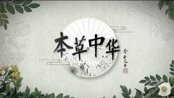 本草中华,探寻中医药文化的瑰宝与传承