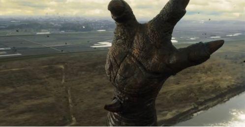 大怪兽的善后处理,揭秘神秘生物的归宿与启示