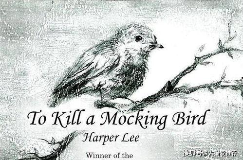 杀死一只知更鸟,从杀死一只知更鸟看人性的光辉与阴暗