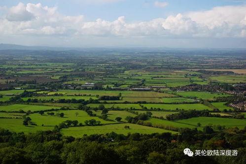 英格兰的田野,自然画卷中的宁静与生机
