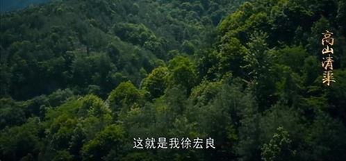 高山清渠,破解水资源难题的绿色奇迹