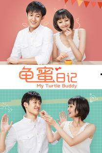 龟蜜日记,探寻龟类与蜜源植物的和谐共生之旅