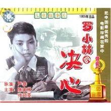 罗小林的决心,矢志不渝，谱写奋斗新篇章